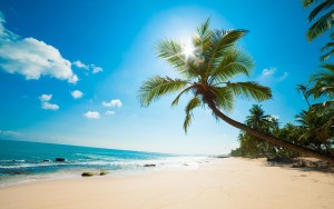 6771663-awesome-beach-background