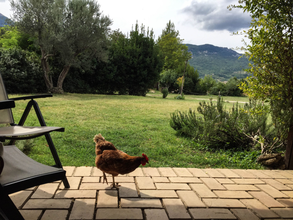 Farmstay - Abruzzo