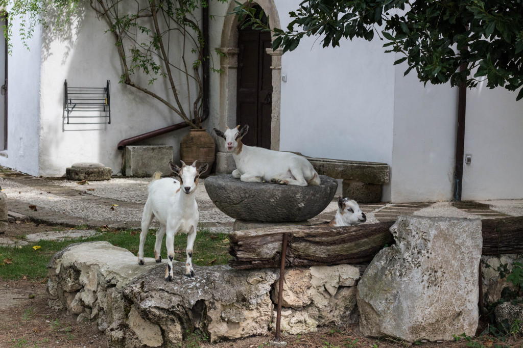 Farmstay - Abruzzo